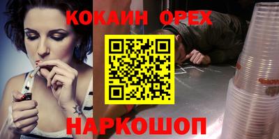 спиды Кингисепп