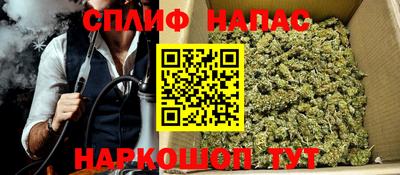 спиды Кингисепп