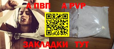 спиды Кингисепп