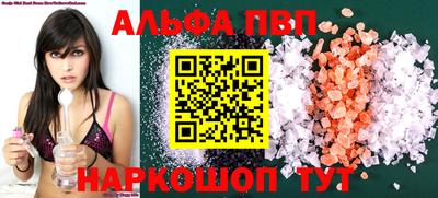 спиды Кингисепп